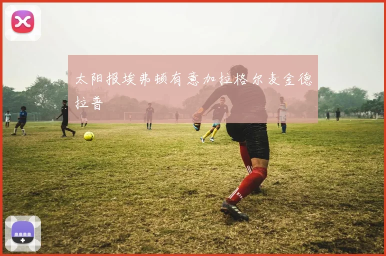 太阳报埃弗顿有意加拉格尔麦金德拉普